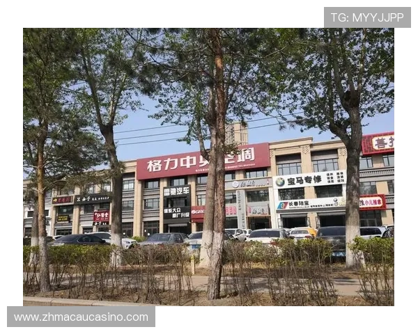 凯旋门官网旗舰店多样产品选择，满足不同客户需求，尽显品牌多元魅力